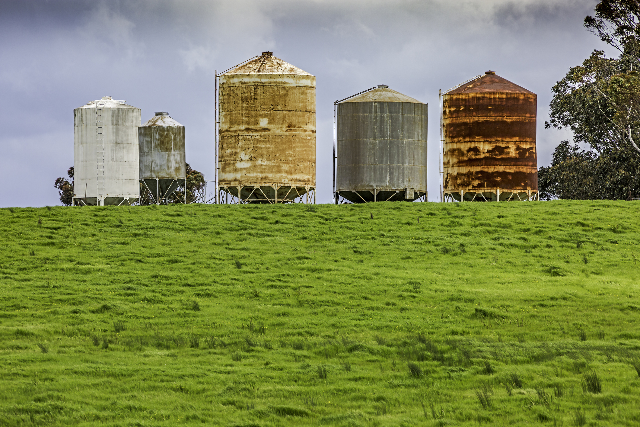 Breaking down silos for telco adaptability