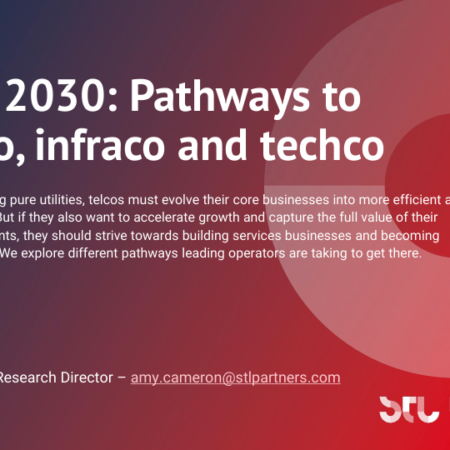 Telecoms 2030 Part 3: Pathways to servco, infraco and techco