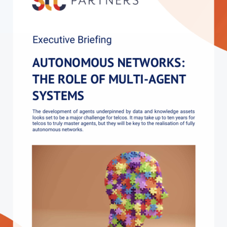 Autonomous networks: The role of multi-agent systems