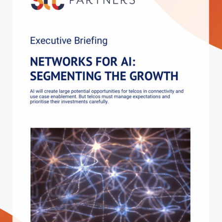 Networks for AI: Segmenting the growth