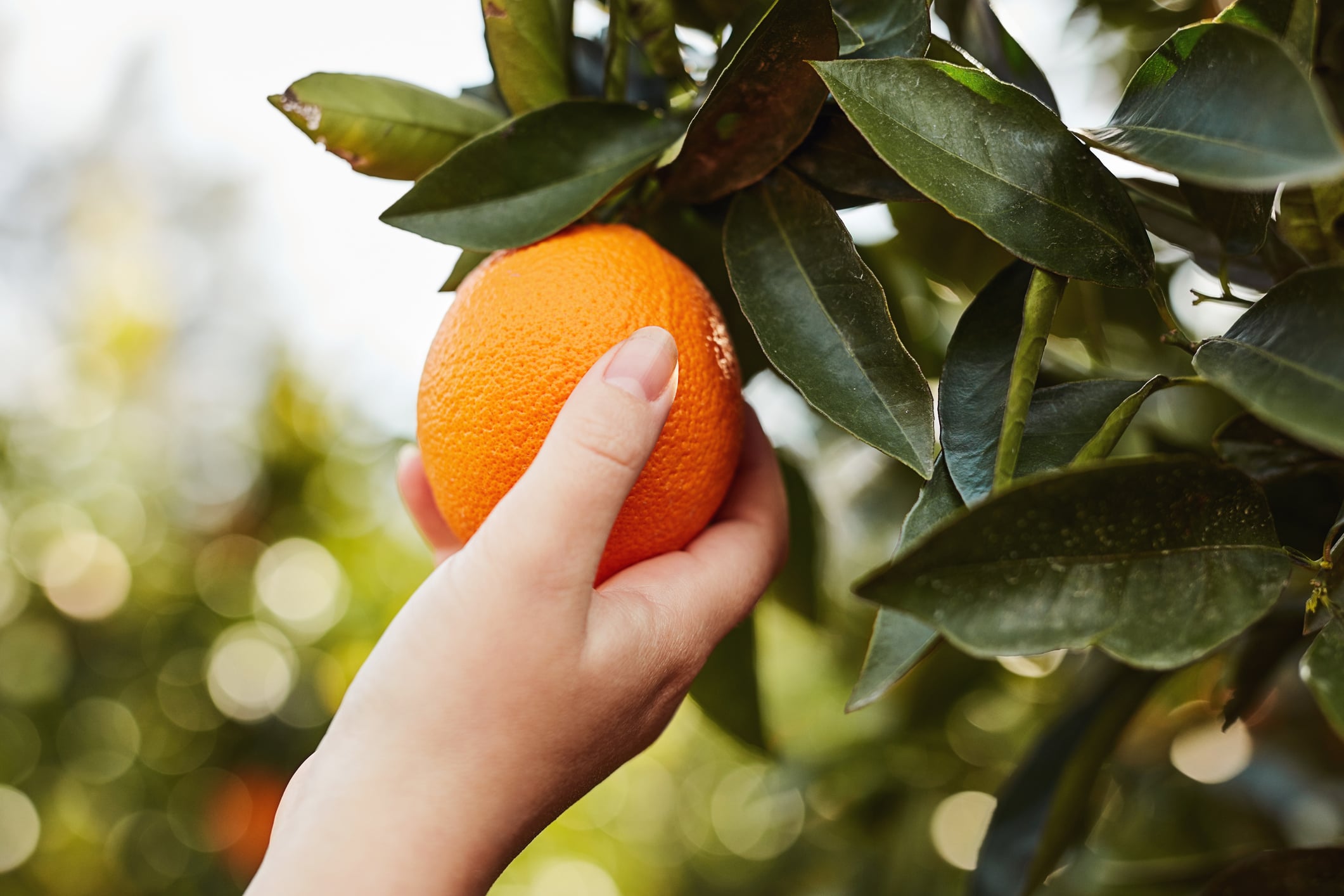 Orange Live Intelligence: Scaling adoption and commercialisation of AI